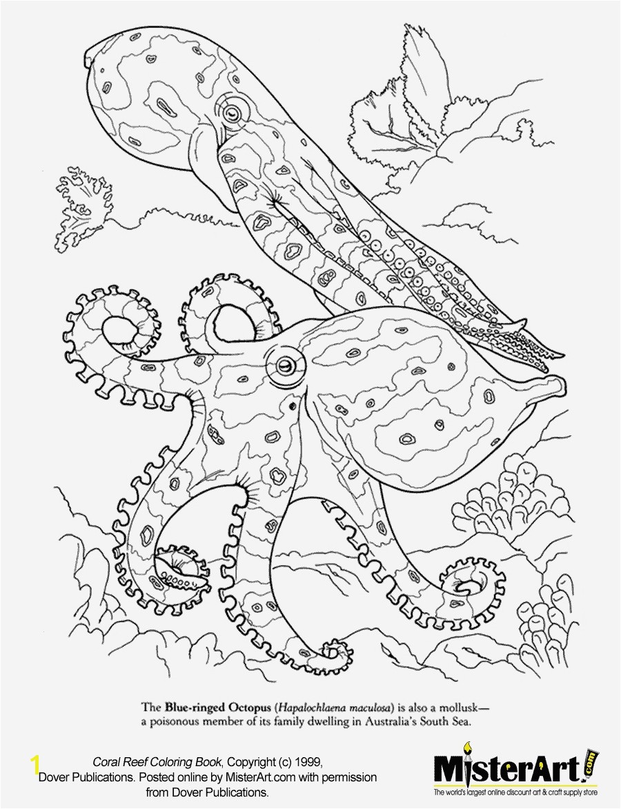 Coral Reef Animals and Plants Coloring Pages Beautiful Coloring Pages Animals Patterns Awesome Best Od Dog