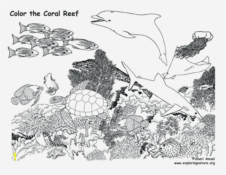 Coral Reef Animals and Plants Coloring Pages Awesome Coral Reef Coloring Pages Coral Reef Fish Coloring