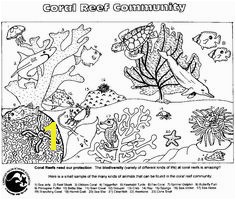 Coloring Pages Of Coral Reefs 256 Best Kids Coloring Pages Images On Pinterest