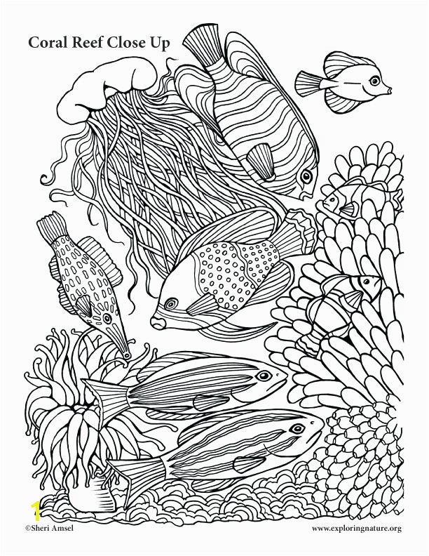 Best Coral Reef Coloring Page More Image Ideas