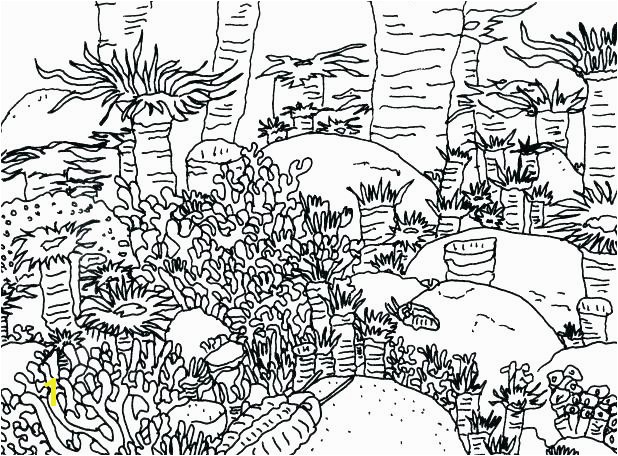 coral reef coloring pages coral reef coloring page coral reef coloring pages coral coloring page coloring