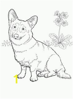 Best Dog Coloring Pages