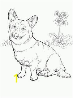 Coloring Pages Of Corgis 452 Best Woodburning Ideas Corgi Images On Pinterest
