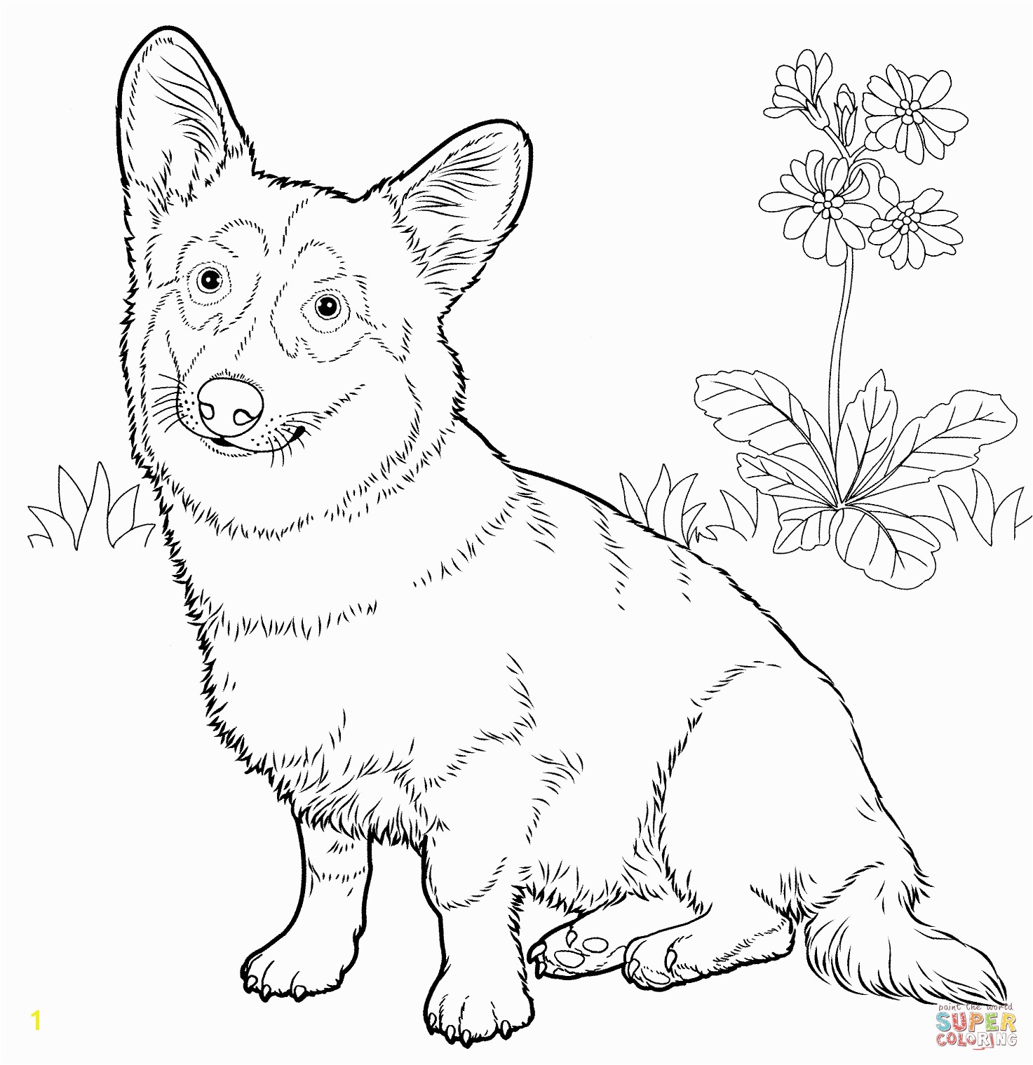 Free coloring pages of dog outline road trip Pinterest