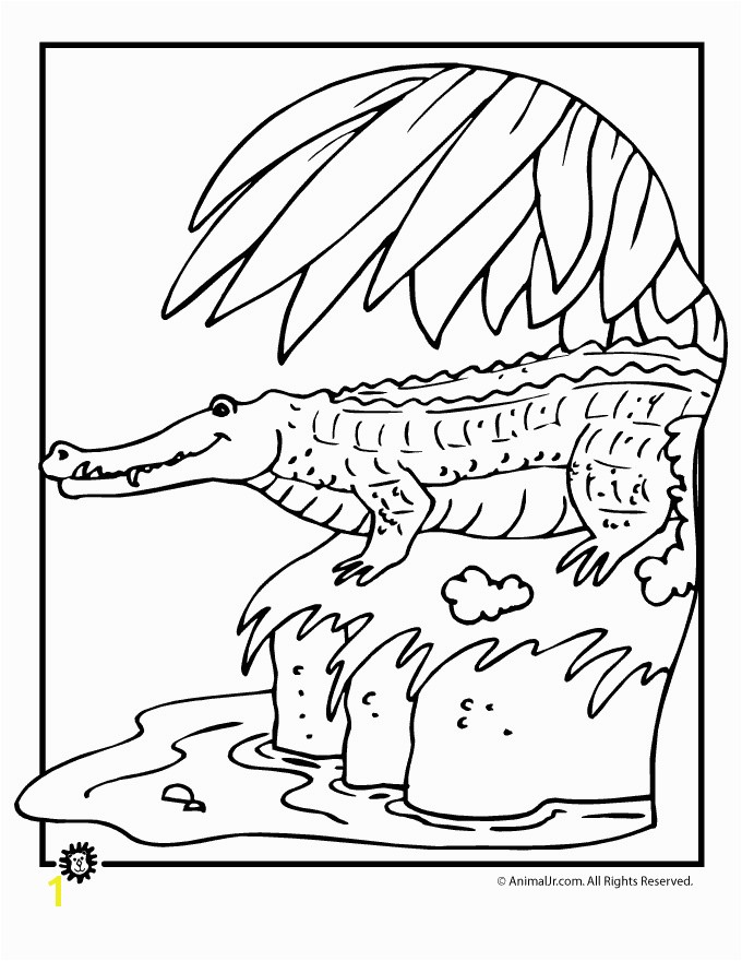 crocodile coloring page Alligator and Crocodile Coloring Pages crocodile coloring pages Florida everglades Pinterest