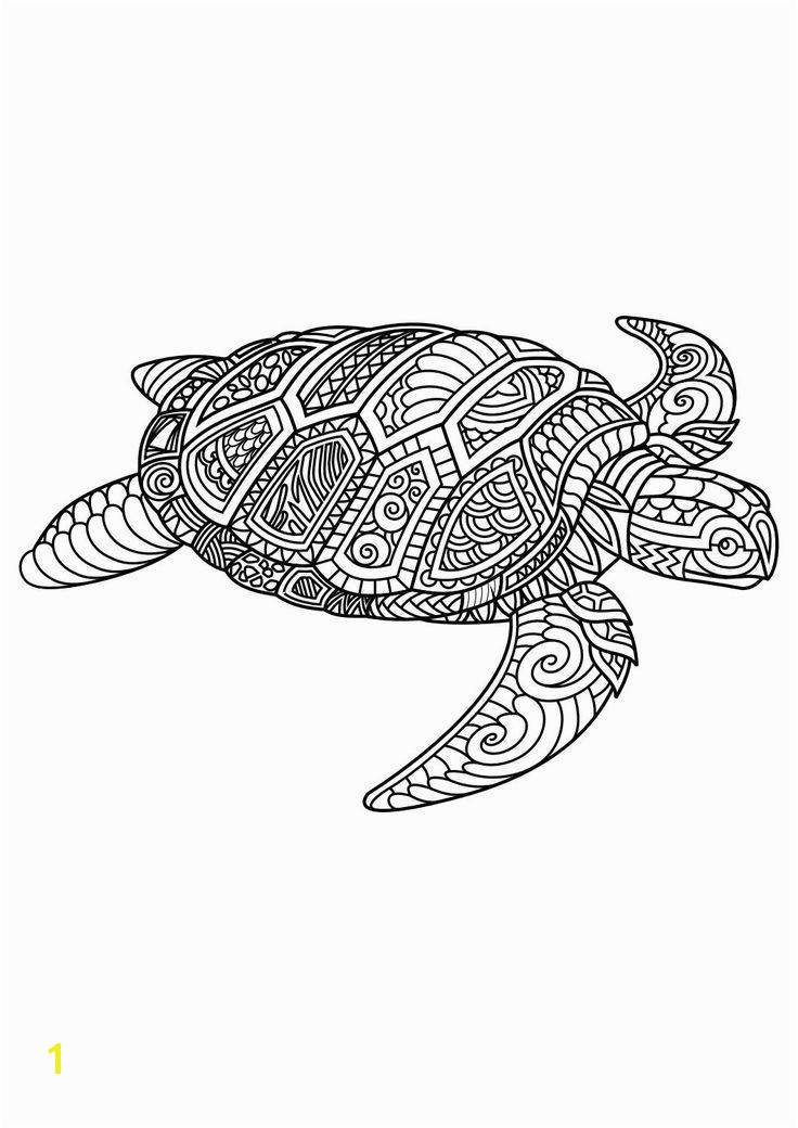 Coloring Pages Of Crocodiles Image Result for Free Mandala Coloring Page with A Lizard or