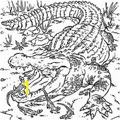 Coloring Pages Krokodil Dessin crocodiles a colorier