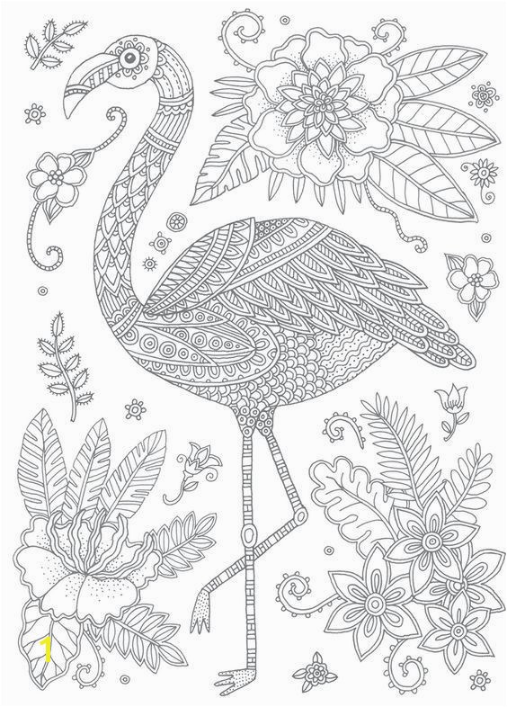 Swan Coloring Pages 237 Best Coloring Swan Flamingo Pinterest