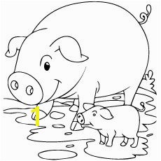 Top 20 Free Printable Pig Coloring Pages line