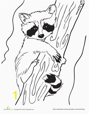 Baby Raccoon Coloring Page Raa "Ø±" raccoon raccoon Ø±Ø§ÙÙÙ