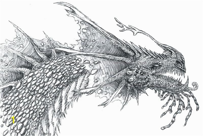 Coloring Pages Of Real Dragons Realistic Dragon Coloring Pages Dragon Coloring Sheets Realistic