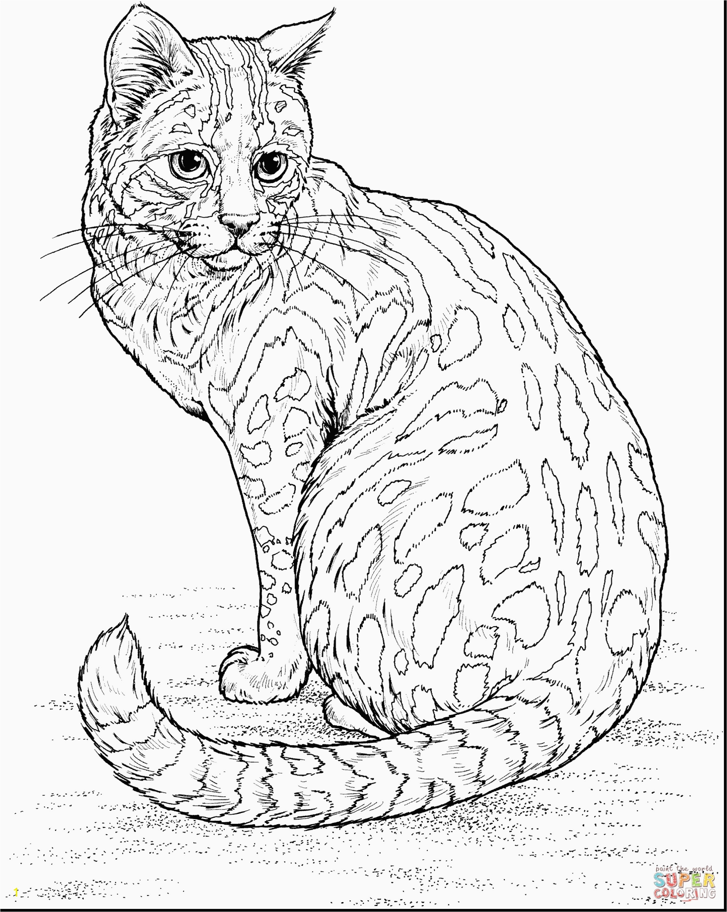 Coloring Pages Real Kittens Awesome Cute Cat Coloring Pages Inspirational Kitten Drawing at Getdrawings Gallery