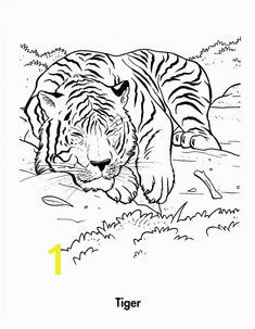 Free Printable Tiger Coloring Pages For Kids