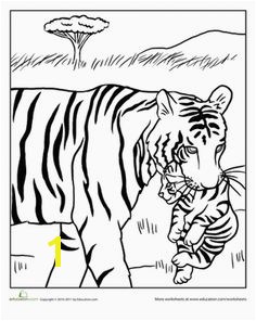 Coloring Pages Of Tiger Cubs Realistic and Detailed Coloring Page Tiger for Older Kids