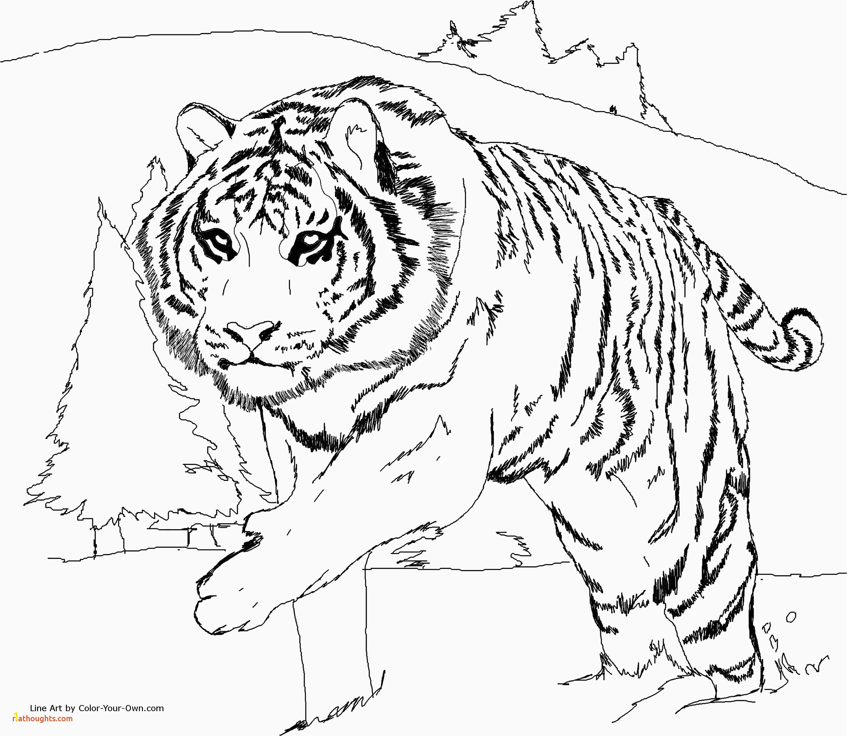 Tiger Cub Scouts Coloring Pages Tiger Coloring Pages Popular Awesome Tiger Coloring Pages Verikira