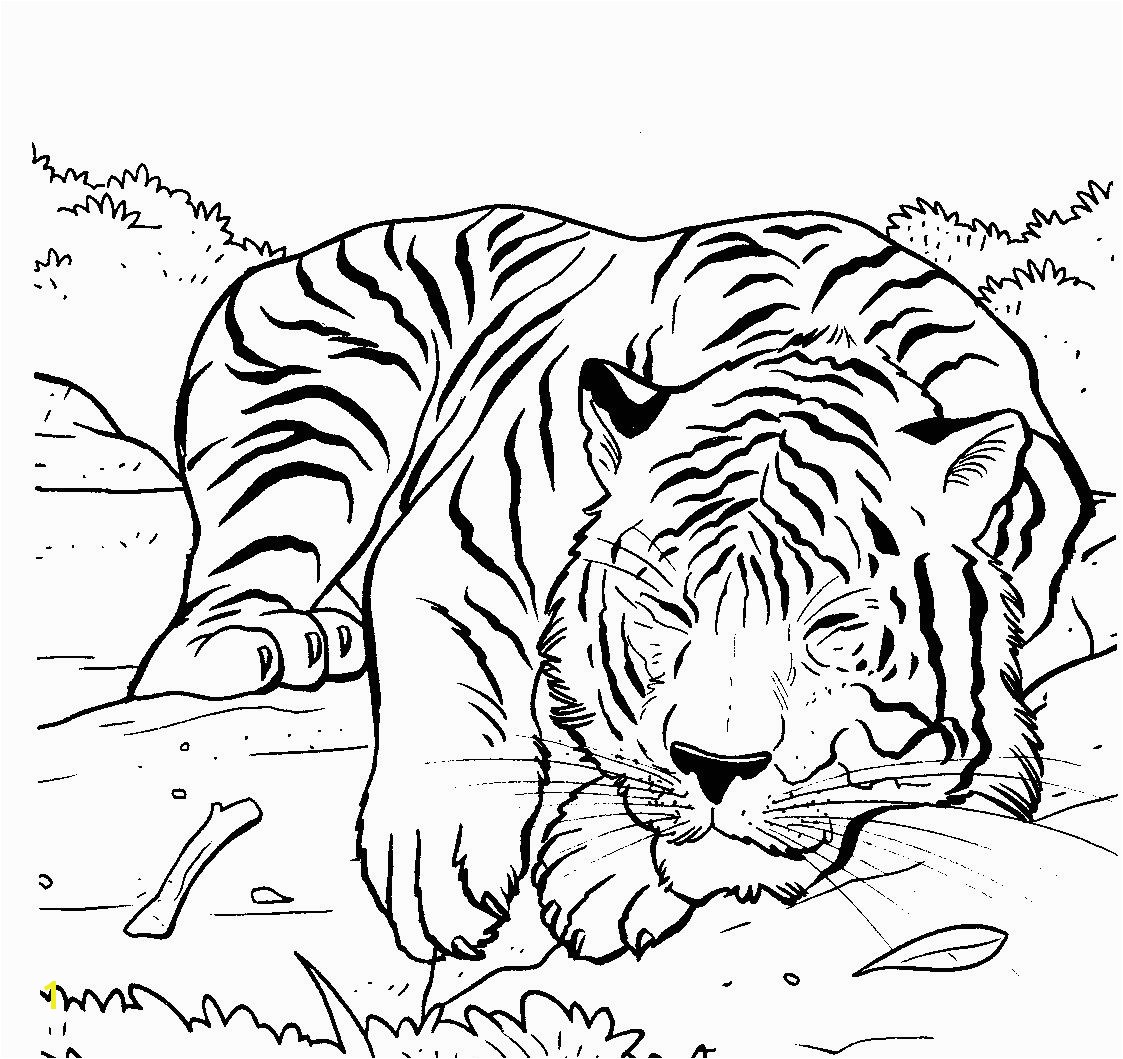 Coloring Pages Of Tiger Cubs Tiger Sleeping Lions and Tigers Pinterest