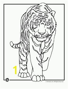 9 tiger coloring pages including tiger cubs wild tigers and cute cartoon tigers Part of an ongoing series of animal coloring page sets