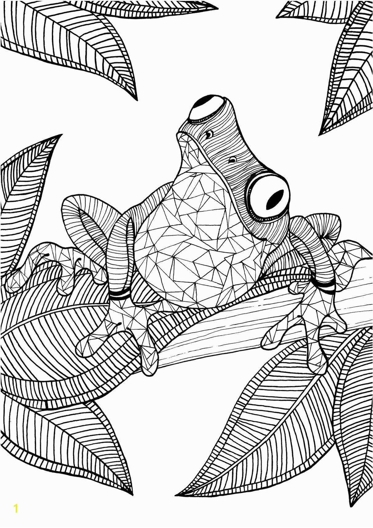 Coloring Pages Of Tree Frogs Frog Adult Colouring Page Colouring In Sheets Art & Craft