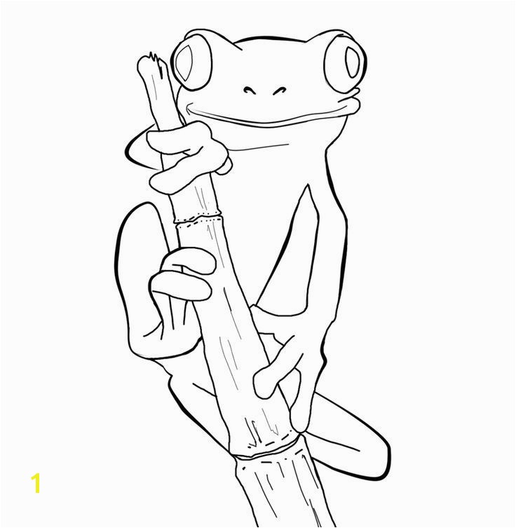 Image result for how to draw a red eyed tree frog