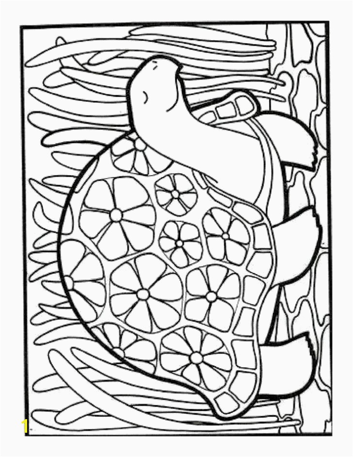 Coloring Pages Of Tree Frogs Tree Frog Coloring Pages