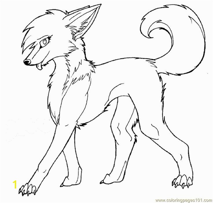 Coloring Pages Of Wolfs 12 Best Outline Wolves Pinterest Wolf Coloring Pages