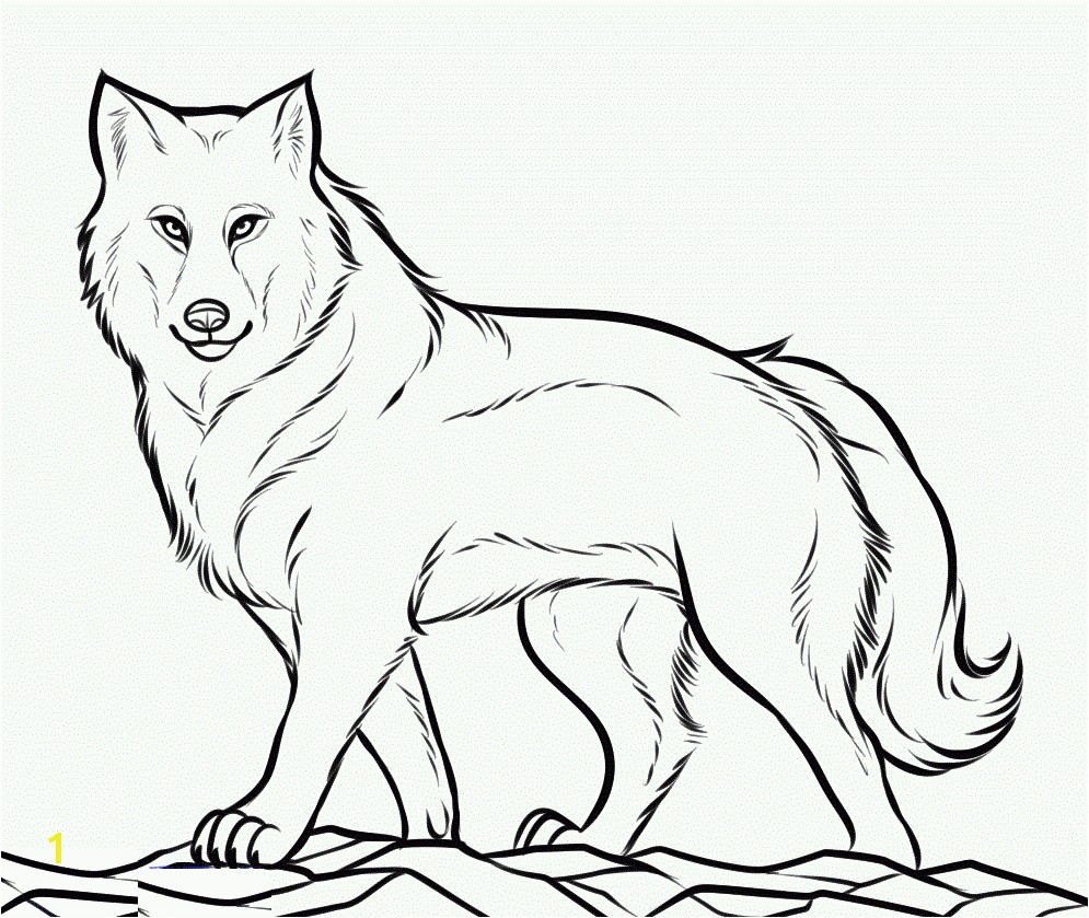 Revolutionary Wolf To Color Level Printable Coloring Pages Wolves Seomybrand