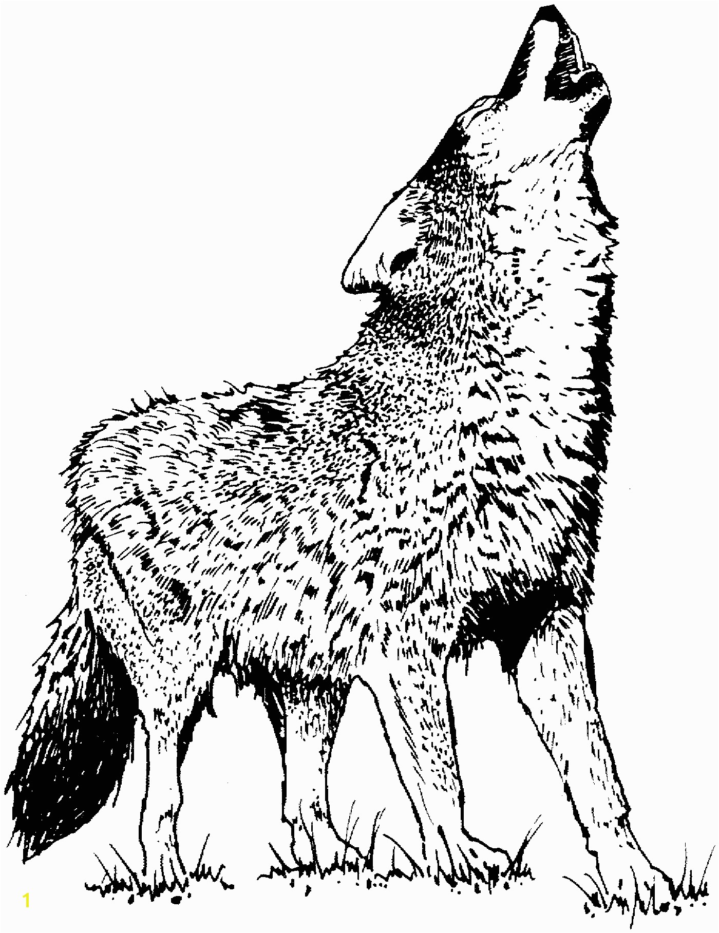 Wolf Coloring Pages