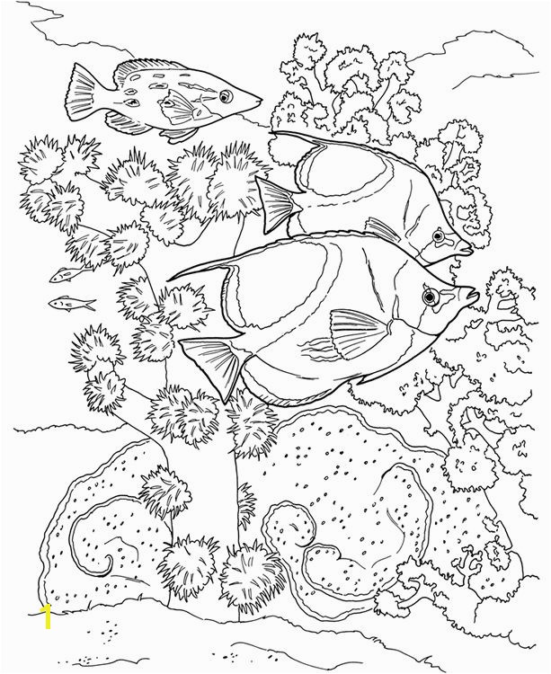 Best Coral Reef Coloring Page More Image Ideas