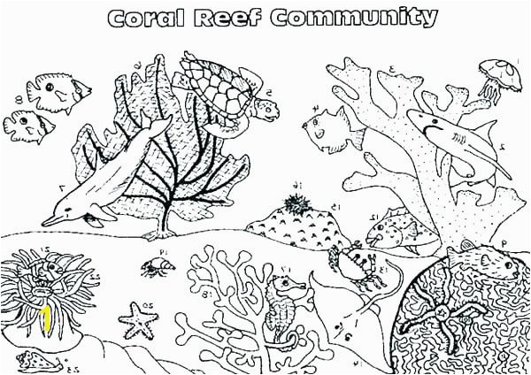 coral reef coloring pages simple coral reef coloring pages google search coloring pages coral reef fish