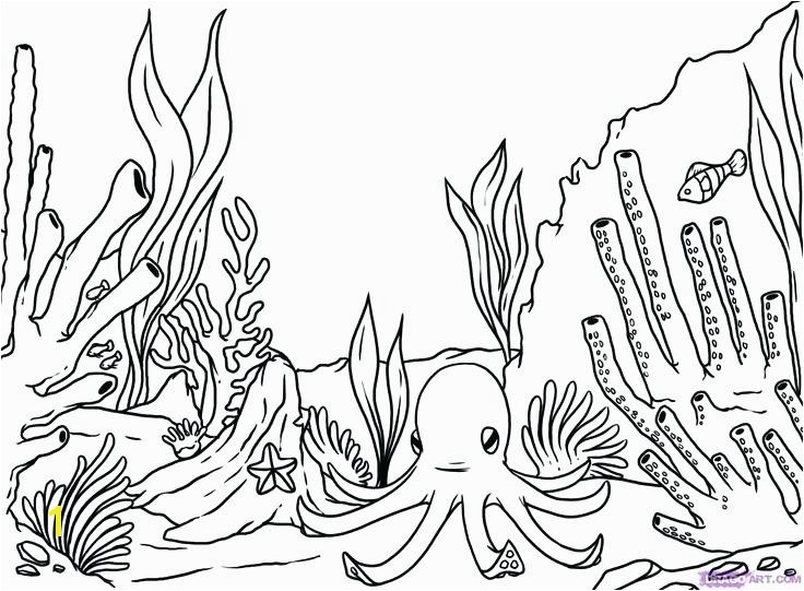 coral reef coloring pages coral reef coloring pages free simple coral reef coloring pages google search