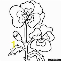 Crocus Coloring Page Crocus Flowers and Birds