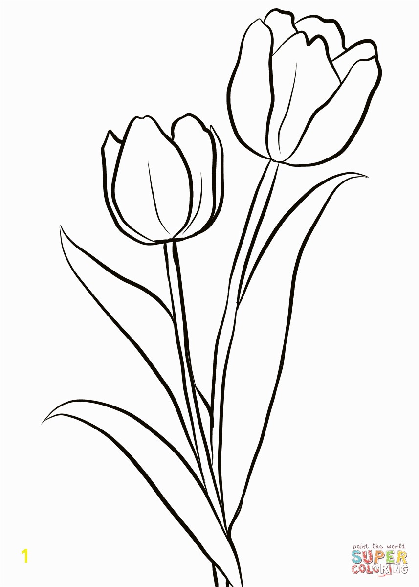 Two Tulips coloring page from Tulip category Select from printable crafts of cartoons nature animals Bible and many more