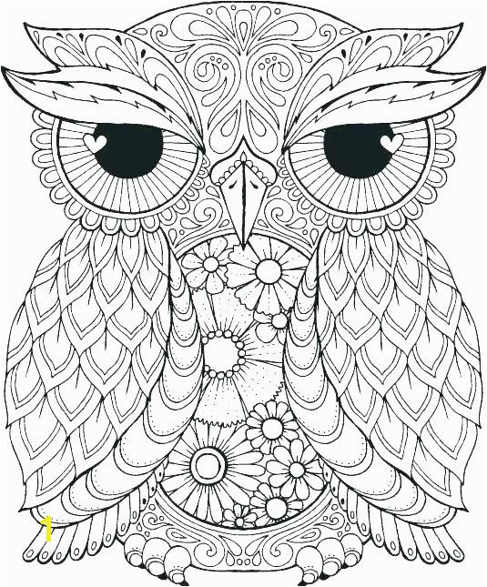Cute Coloring Pages Of Owls Cute Owl Coloring Page Owl Coloring Pages Owl Color Pages Owl Color