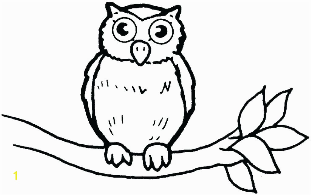 coloring pages of owls cartoon owl coloring pages cute owl coloring page owl colouring pages limited