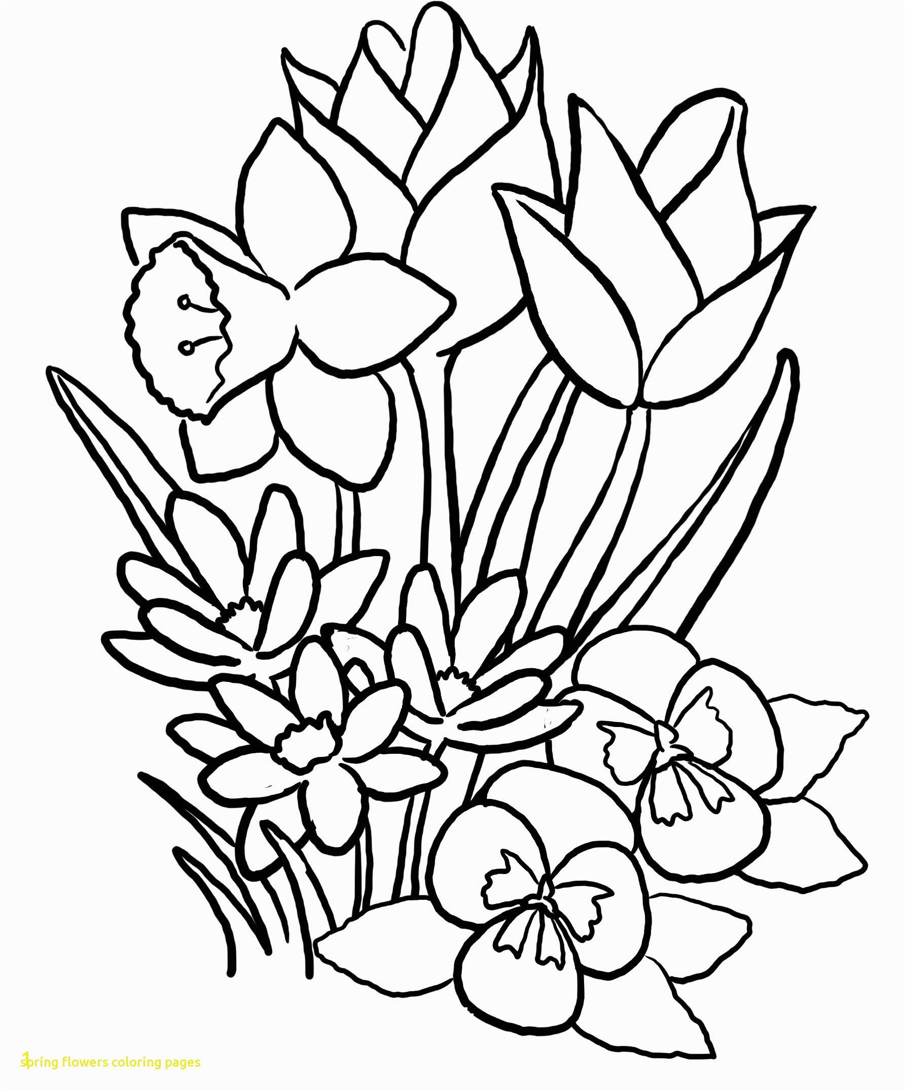 Labeled big spring flower coloring pages free free printable spring flower coloring pages free spring flower coloring pages free spring flower coloring