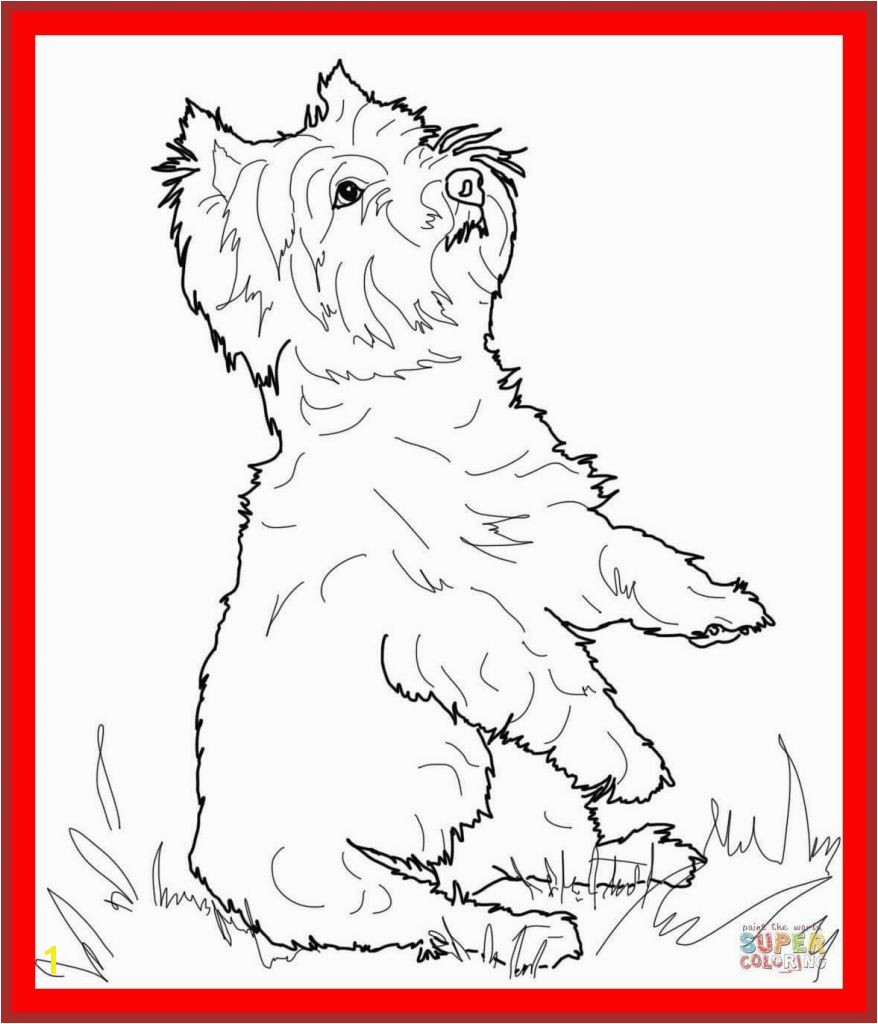 15 Best Cute Yorkie Coloring Pages