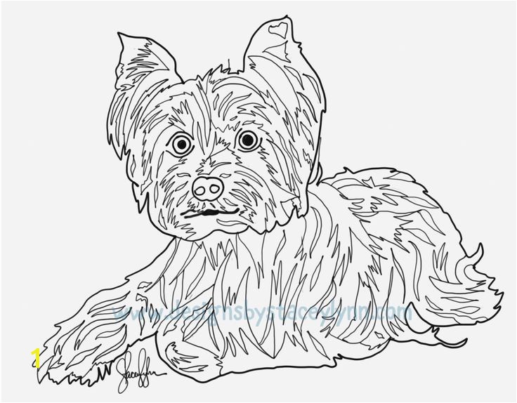Cute Yorkie Coloring Pages 15 Luxury Yorkie Coloring Pages