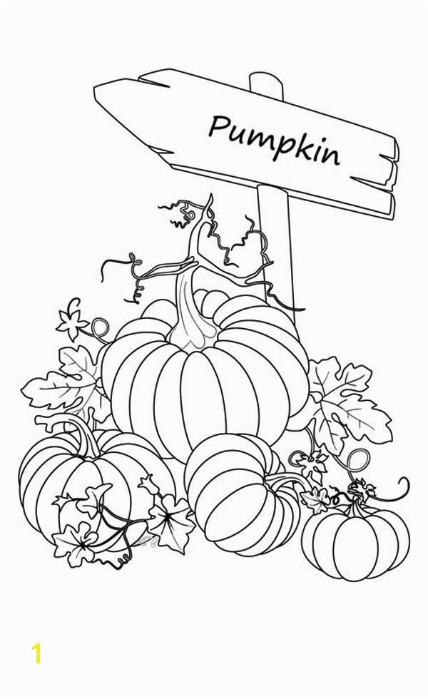 Pumpkins Sign of Pumpkins Garden Coloring Page