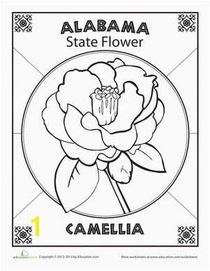 These flower coloring pages teach kids flower anatomy and introduces them to different kinds of flowers such as the chrysanthemum and the iris