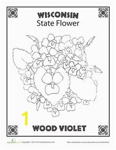 State Flower Coloring Pages Delaware State Flower Coloring Page – Classroom Jr Needlework States Pinterest