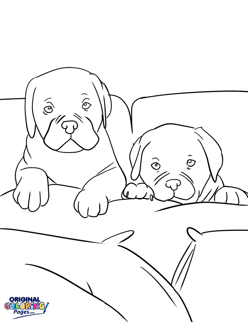 dogs-in-bed-coloring-page-coloring-pages