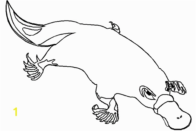 Duckbill Platypus Coloring Page Coloring Pages Duck Billed Platypus Coloring Pages