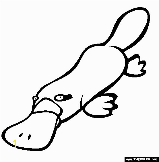 Duckbill Platypus Coloring Page