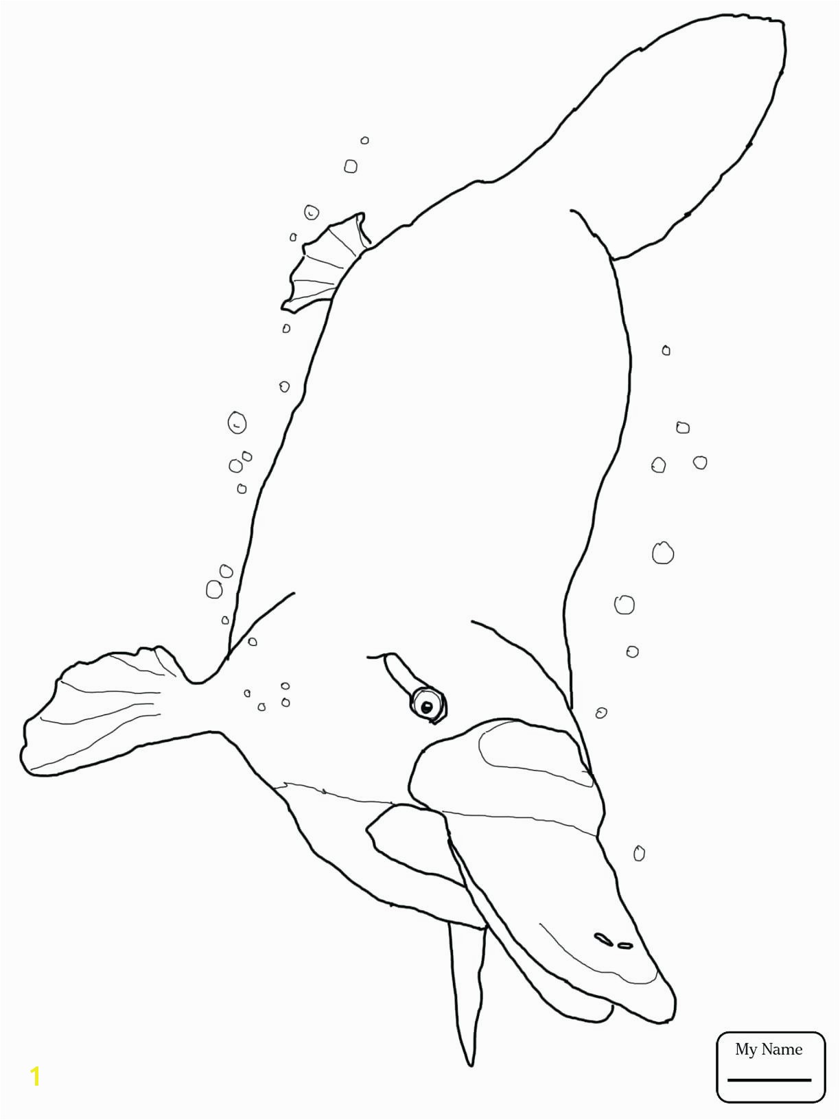 Duck Billed Platypus Swimming For Coloring Page Excellent Pages Free Printable Animals To Print Perry The