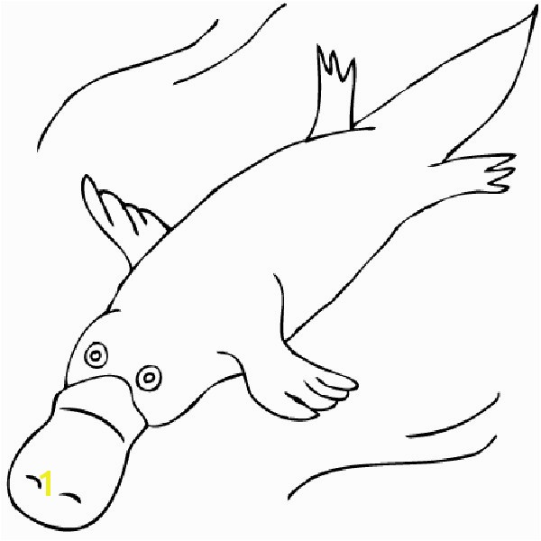 Duckbill Platypus Coloring Page Duck Billed Platypus Coloring Page Duckbill