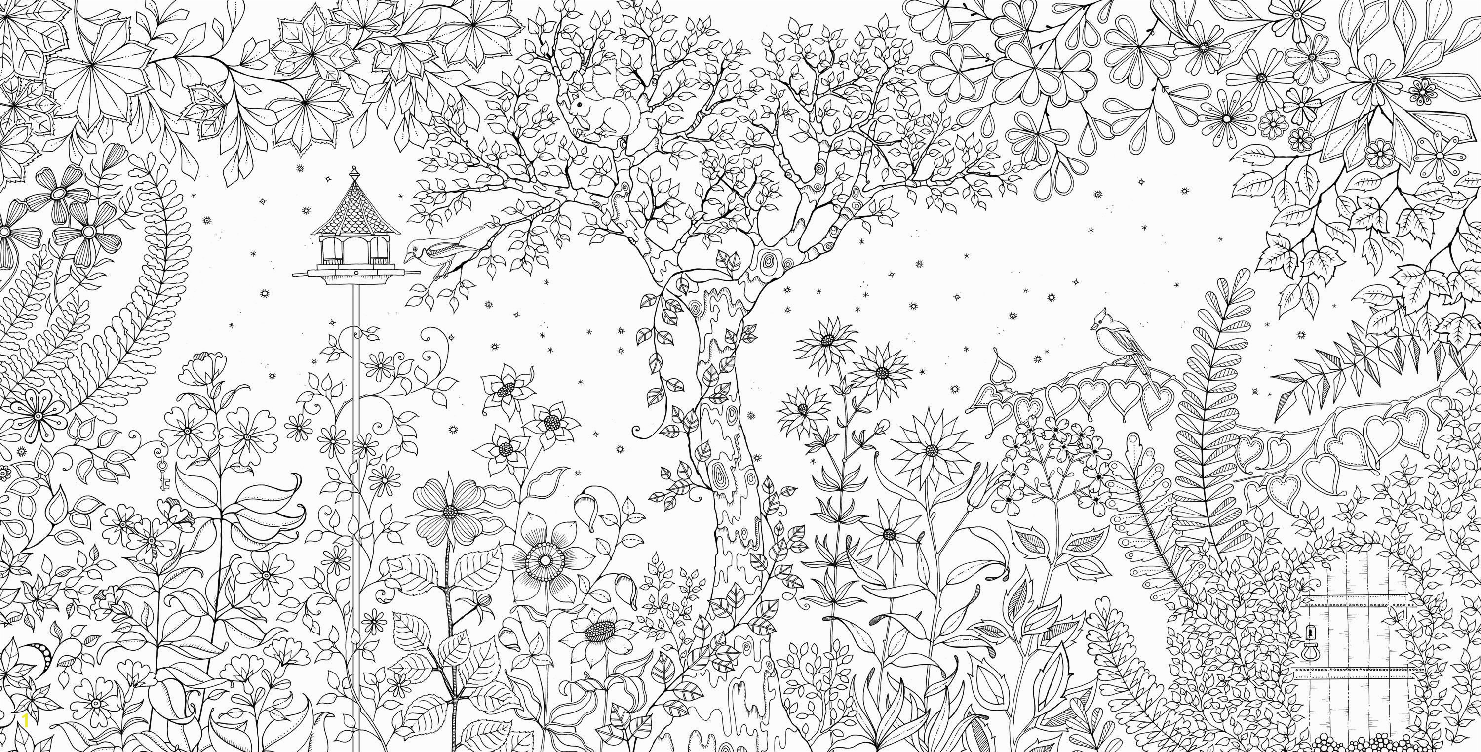 Colouring books created by Johanna Basford Secret Garden and Enchanted Forest are topping the Amazon best seller list Description from pinterest