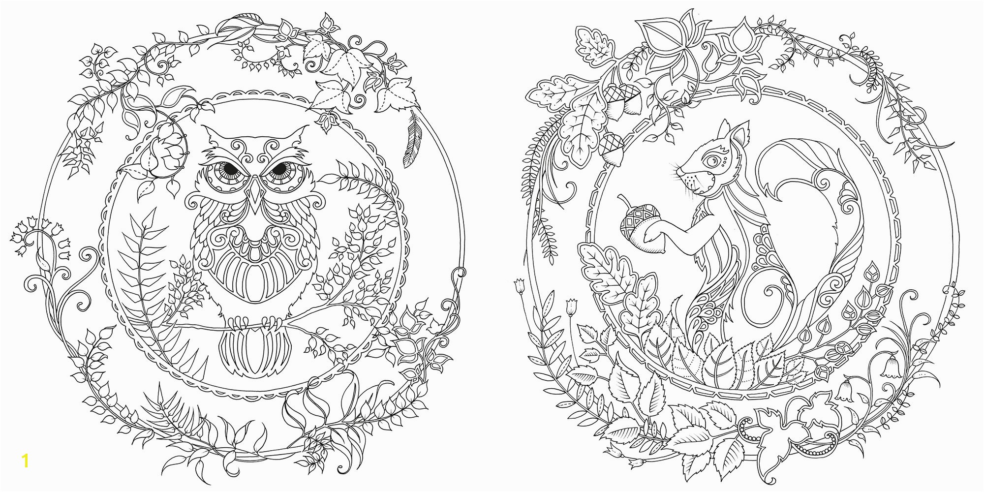 Enchanted forest Coloring Pages Pdf Enchanted forest An Inky Quest & Coloring Book [us Import] Amazon