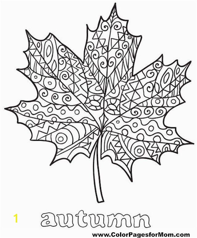 Best Autumn Leaves Coloring Pages for Kids for Adults In Coloring Pages Leaves Autumn Best Coloring