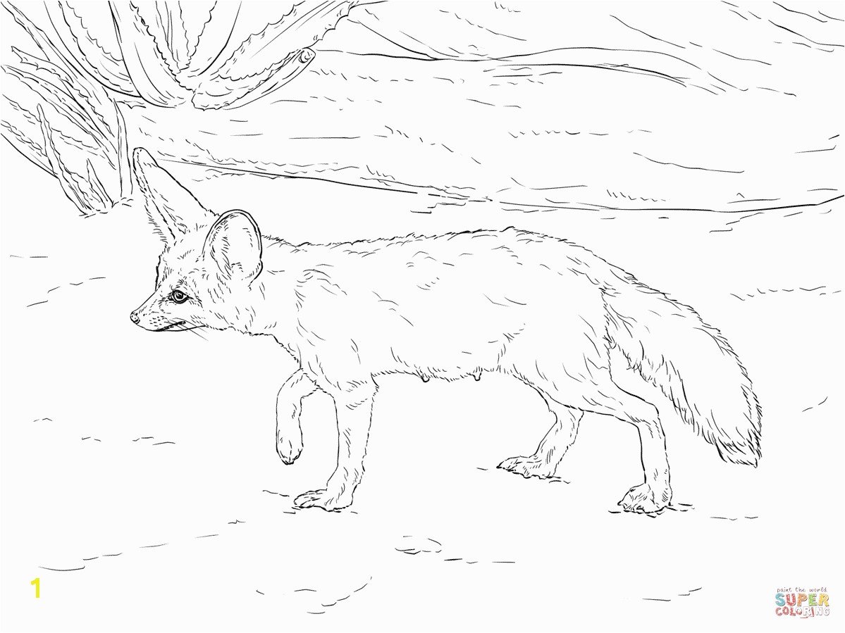 the Curious Fennec Fox coloring pages