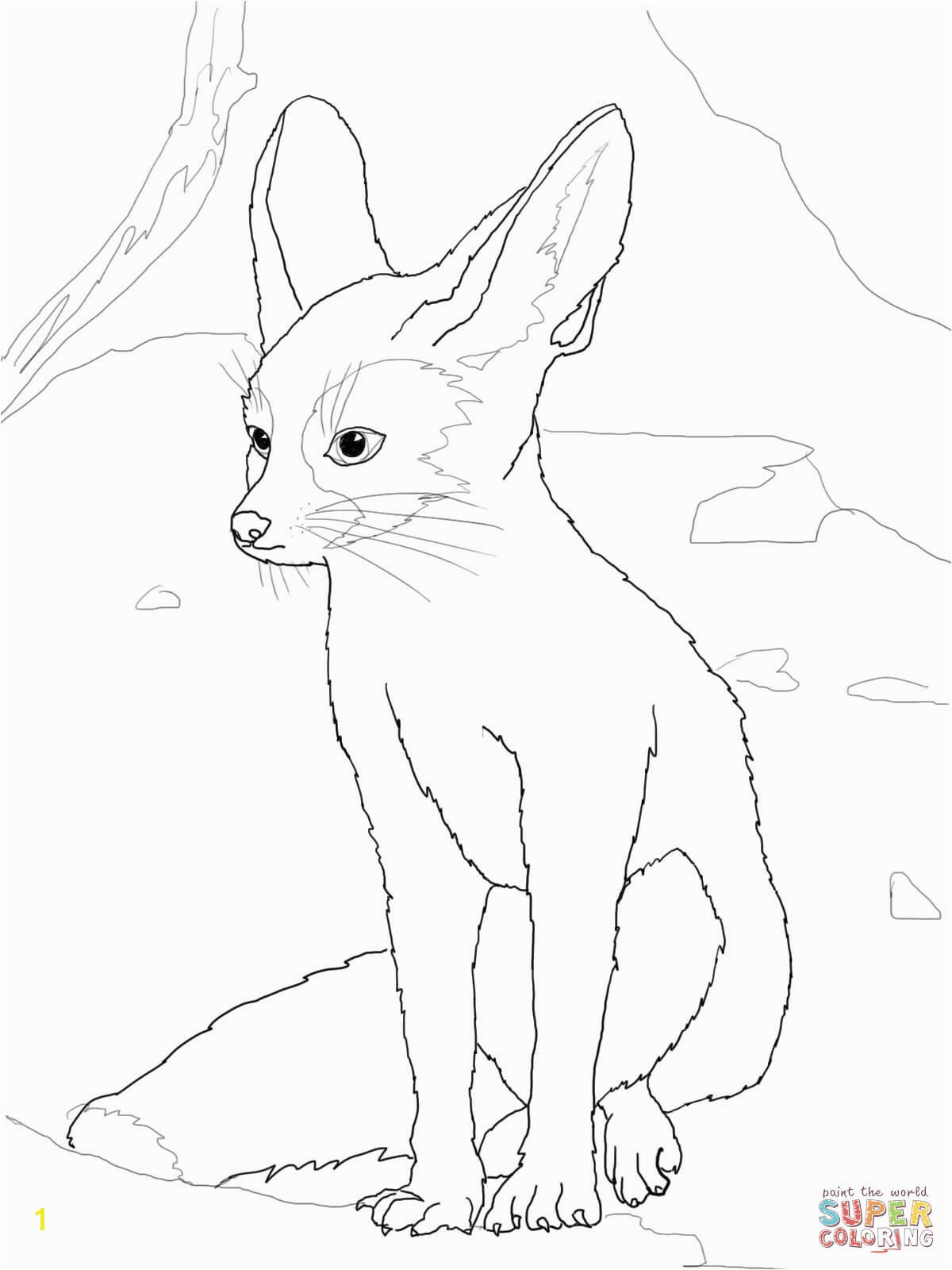 the Fennec coloring pages